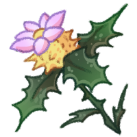 <a href="https://safiraisland.com/world/items/60" class="display-item">Water Thistle</a>