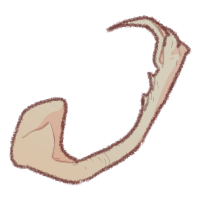 <a href="https://safiraisland.com/world/items/75" class="display-item">Lower Snake Mandible</a>