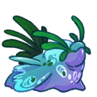 Peacock Slug